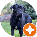 Alexandre B. profile picture